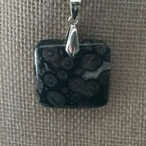 Black Coral Fossil Pendant on Silver Chain